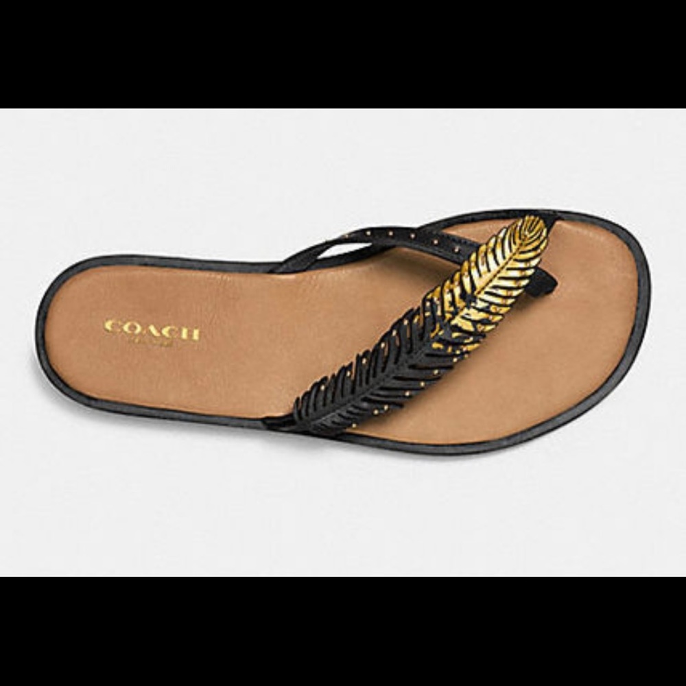 Coach Deni Black Leather Studded feather sandal